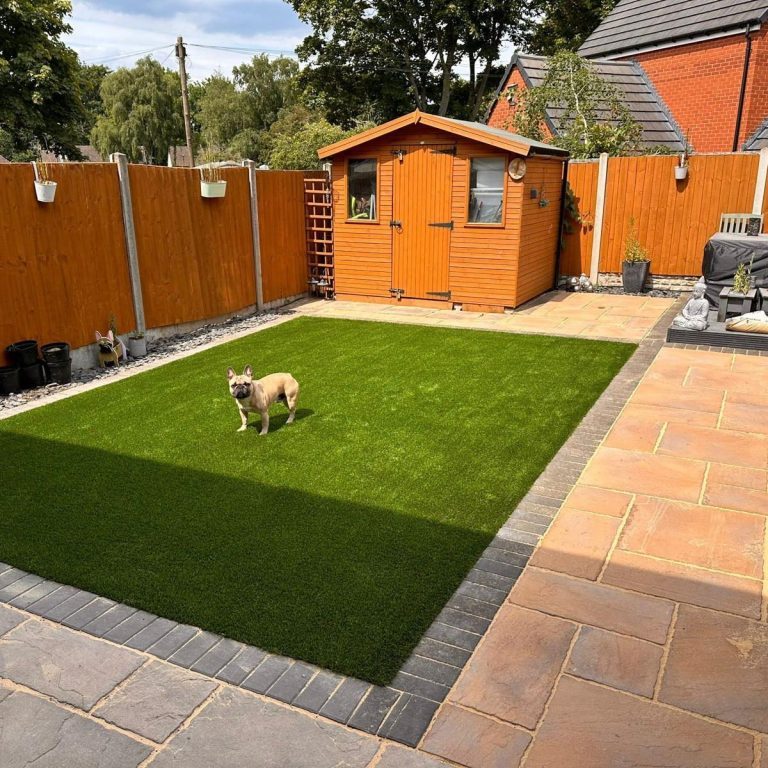 A small dog stands on a green lawn in a garden with a wooden shed and stone patio.